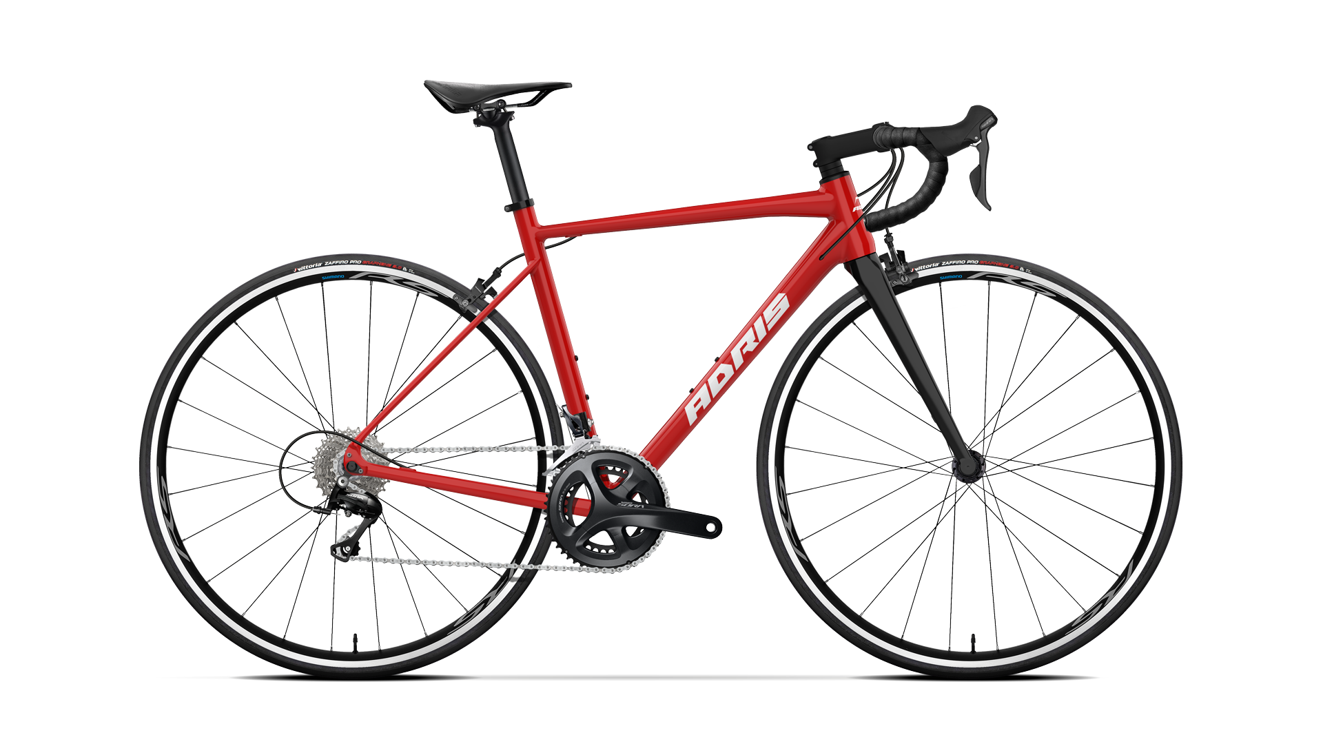 ASPHALTE AXL SORA PATINS