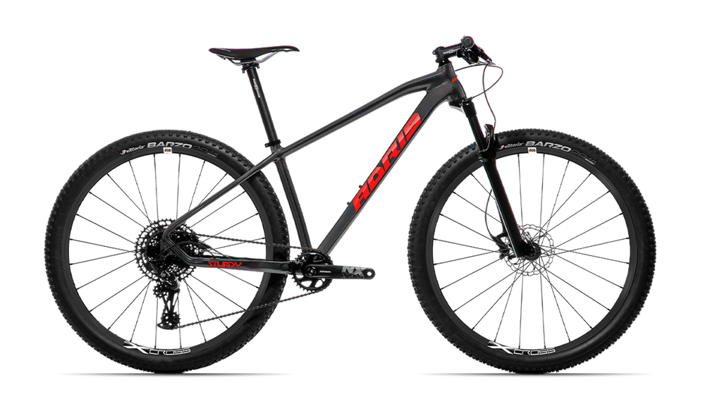 STURDY AXL SRAM NX EAGLE